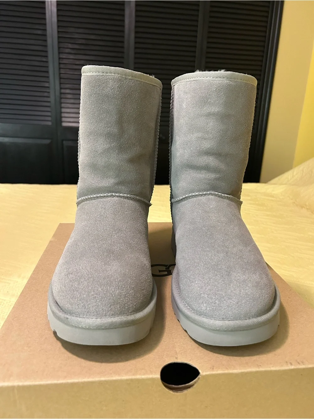 UGG Women's Short Winter Boots in Light Gray Suede